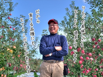りんご ジョナゴールド 青森県産 ヒバリノ園 りんご【約5kg 12〜16玉】