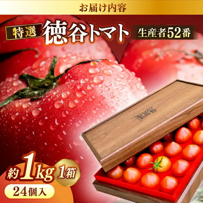 【先行予約】プレミアム徳谷トマト約1kg 24個入り 生産者52番 (ウォールナットケース入り) 〈2027年1月中旬～2027年5月下旬頃発送〉/ フルーツトマト とまと フルーツ 果物 季節もの 【フルーツショップオザキ】[ATAH001]