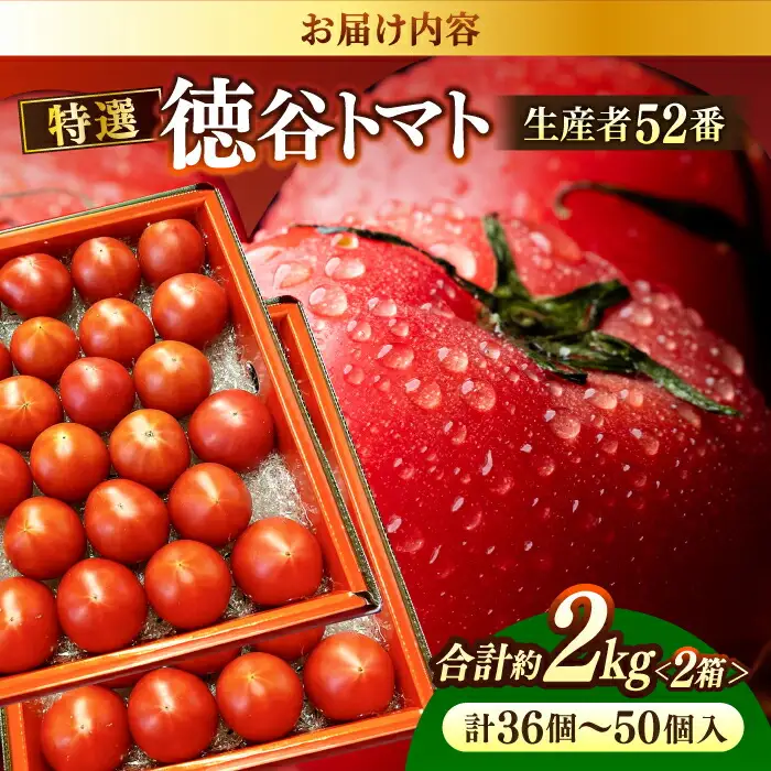 【先行予約】特選 徳谷トマト 約2kg 生産者52番 〈2027年1月中旬～2027年6月下旬頃発送〉/ トマト フルーツトマト 【フルーツショップオザキ】[ATAH014]