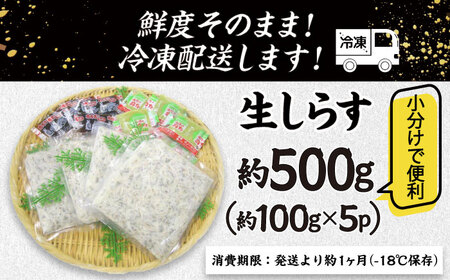 高知産「生シラス」イワシ稚魚約100g×5パック入り (タレ付) [ATBX003]
