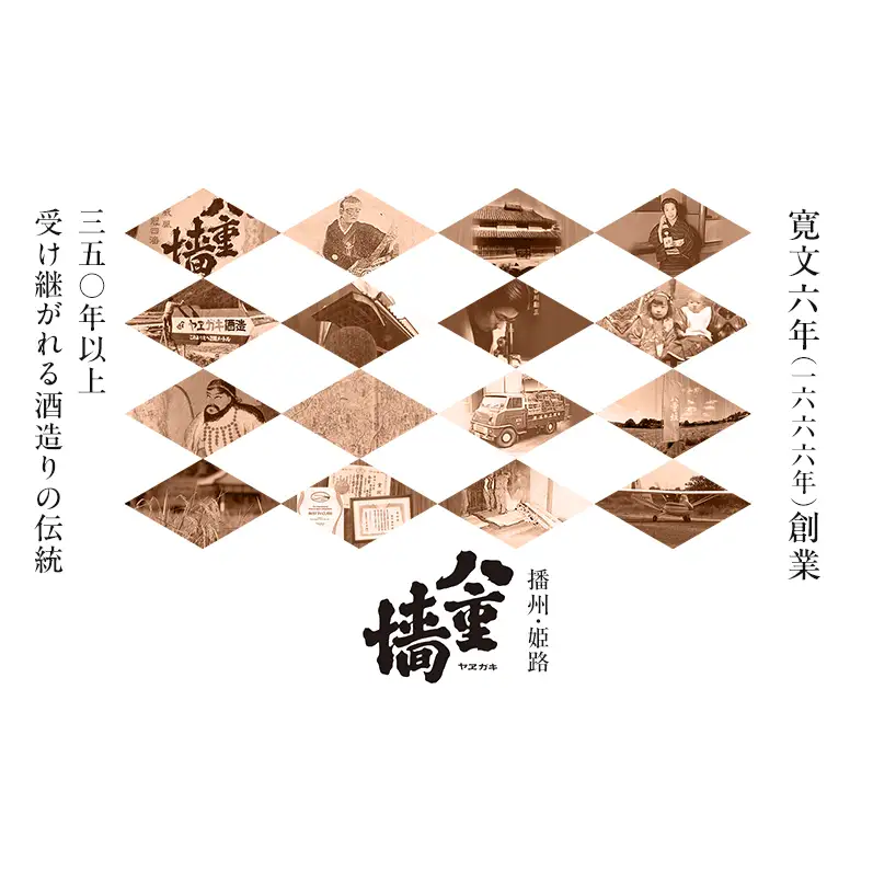 日本酒純米大吟醸青乃無一升瓶日本酒【1800ml】