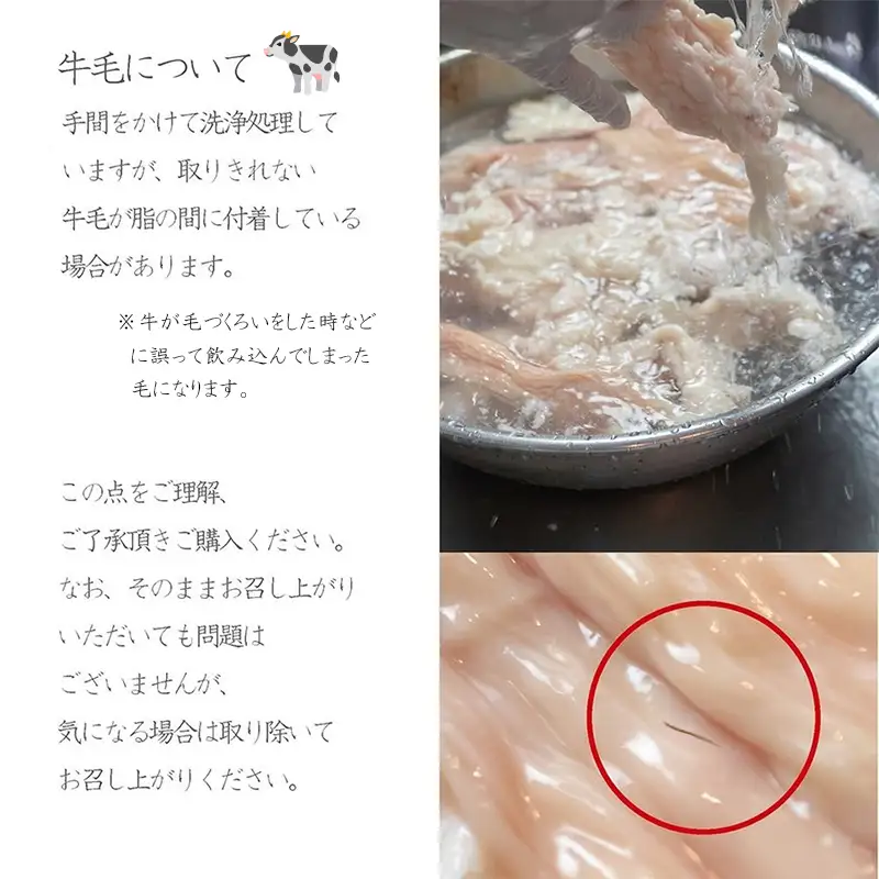 中トロホルモン 西京味噌焼き 600g (100g×6)  ホルモン