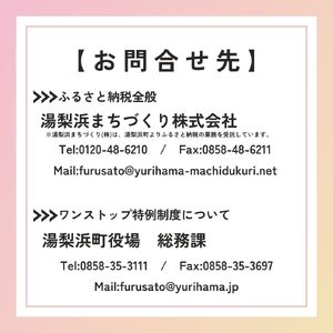144M.ゆりはま愛す15個セット