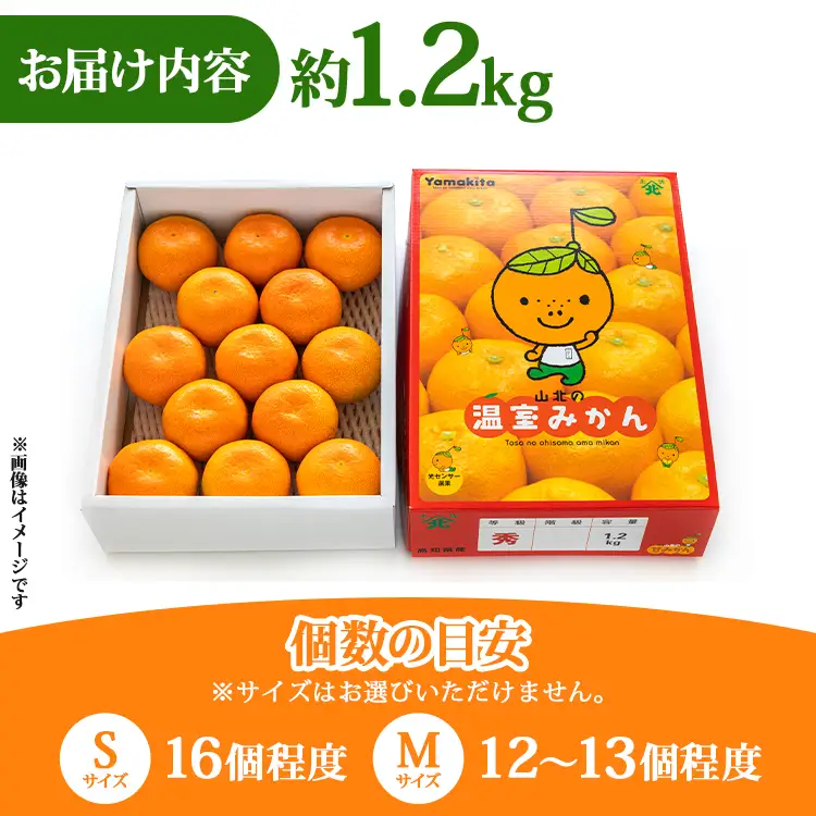 【6〜8月発送】山北温室みかん 1.2kg ミカン蜜柑 ku-0050