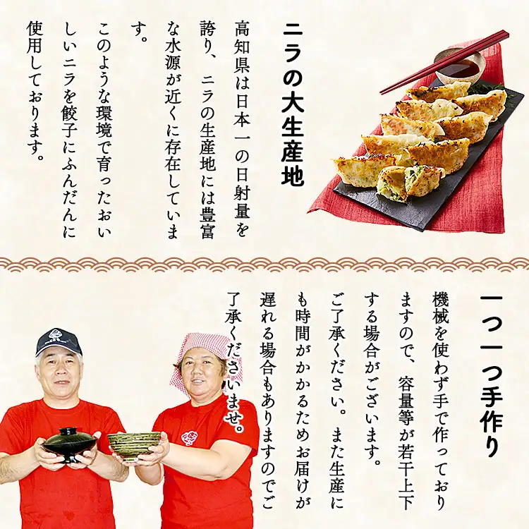 ニラのまち香南市 香南ニラ餃子28個【ぎょうざ ぎょうざ ぎょうざ ぎょうざ ぎょうざ ぎょうざ】 tw-0006