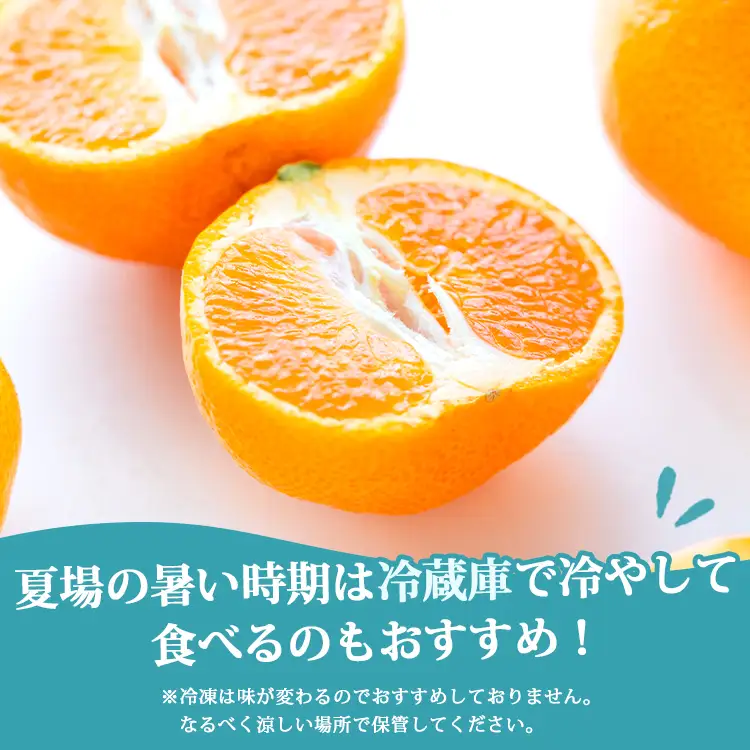 【秀品】山北温室みかん 約2.5kg ハウスみかん ku-0051