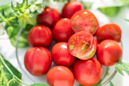 トマトジュース 無添加 ストレート 野菜ソムリエ うしの恵 フルトマセット4箱(トマト650g×3＋ジュース4本) - 野菜 トマト フルーツトマト 贈答用 プチギフト リコピン 甘い 酸味 おいしい サラダ 鍋 スープ 高知県 香南市 mj-0031