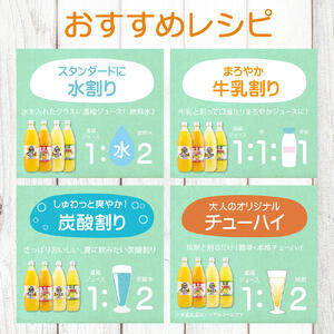 オレンジ園の濃縮ジュース 1L おまかせ3本入り 希釈用 【R00539】