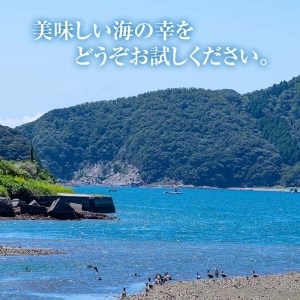  〈数量限定〉佐伯市産 国産海藻詰め合わせ(8品)ひじき 海藻 ふりかけ ちりめん こんぶ 味噌汁 サラダ ごはん おにぎり 常温 国産 大分県 佐伯市【DE03】【安部水産 (株)】