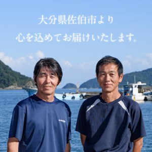 とらふぐ ぶつ切り ちり鍋用 (計430g以上・3-4人前) 冷凍 ふぐ ふぐ鍋 てっちり鍋 お取り寄せ 鮮魚 養殖 国産 ポン酢 大分県 佐伯市【DK15】【エイコー水産】