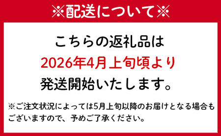 【先行受付】【 マツコの知らない世界 で紹介されました！】徳之島産 新じゃがコロッケ 計40個（10個入り×4袋）じゃがいも 惣菜 おかず BD-2-N