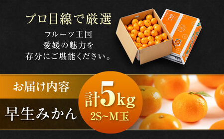 みかん 5kg（早生）みかん[AGAO005]