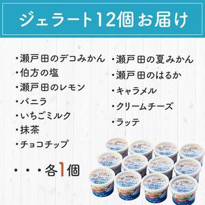 ★しまなみ・瀬戸田の素材がたっぷり！ジェラート12個【スピード配送】