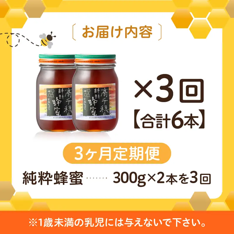 【3ヶ月定期便】日本みつばち 高千穂の純粋蜂蜜 300g×2本 セット 瓶 蜂蜜 はちみつ ハチミツ 百花蜜 自然蜜100% 調味料 定期便 定期 はちみつセット 瓶 贈答 贈り物 ギフト プレゼント おすそ分け 普段使い セット 高千穂産 国産 _Tk006-t018