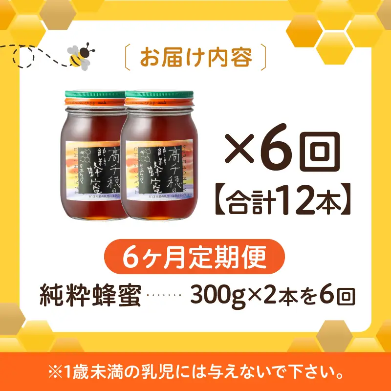 【6ヶ月定期便】日本みつばち 高千穂の純粋蜂蜜 300g×2本 セット 瓶 蜂蜜 はちみつ ハチミツ 百花蜜 自然蜜100% 調味料 定期 はちみつセット 瓶 贈答 贈り物 ギフト プレゼント おすそ分け 普段使い セット 高千穂産 国産 _Tk006-t019