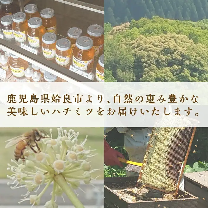 a686 国産！純粋はちみつ(600g)【神谷養蜂】