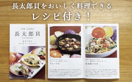 【9月発送】ヒオウギ貝20個セット（ホタテの仲間）アウトドア キャンプ 海鮮BBQ 魚貝  生 貝殻付 活 貝柱 酒蒸し バーベキュー【R01605】