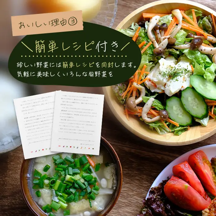 【定期便】淡路島の旬の野菜セット 3ヶ月コース　野菜詰め合わせ