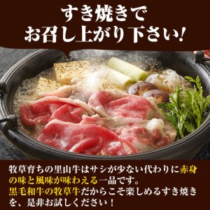 国産黒毛和牛 牧草育ちの里山牛 すき焼き用ロース計400g（200g×2パック) 黒毛和牛 和牛 肉 牛肉 国産 ロース すき焼き 真空パック a9-024