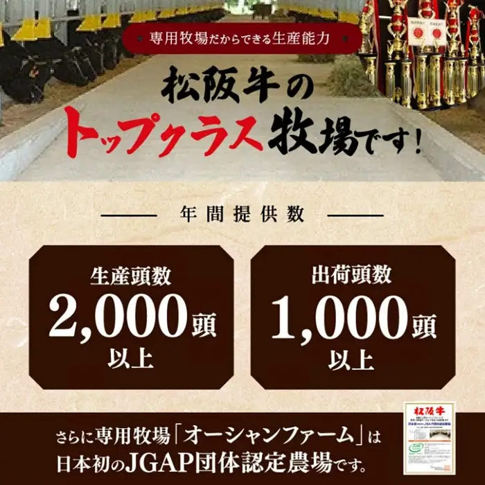 松阪牛味付ホルモンミックス 900g [ 松阪牛 ] / 000244