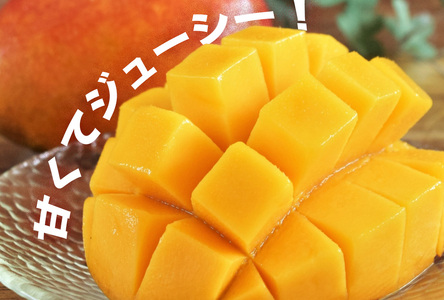 高品質マンゴー　秀品　約1kg（2～3玉）【かっちん南風原マンゴー園】【2027年発送】