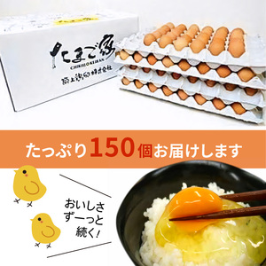 放し飼いたまご『かぐやひめ』150個【福岡上毛町産】_C00101-1