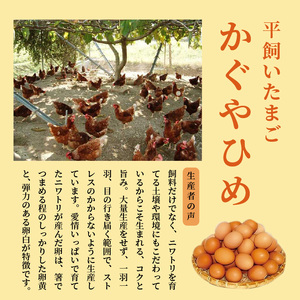 かぐやひめ「初たまご」180個【福岡上毛町産】_C00601-1