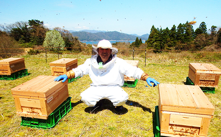 非加熱 生はちみつ 600g 100％ 天然 蜂蜜 非加熱