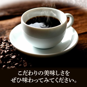 毎月届く！コーヒー300g 粉コース！定期便6ヶ月コース(100g×3) 〔Ec101-P〕