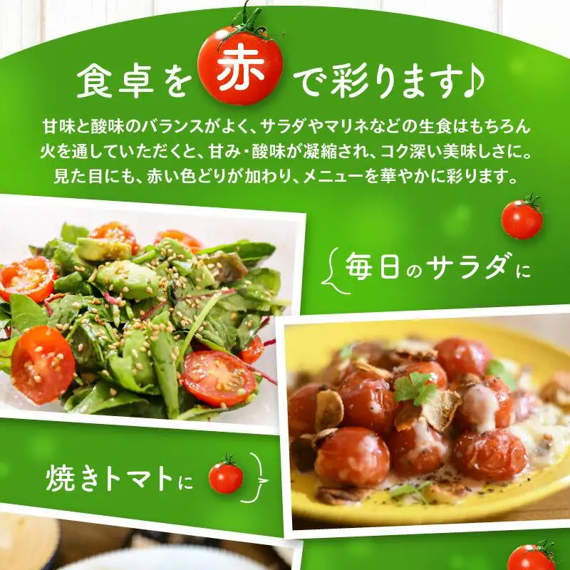 ミニトマト(バラ) 約3kg【2026-11月上旬～2027-6月中旬配送】