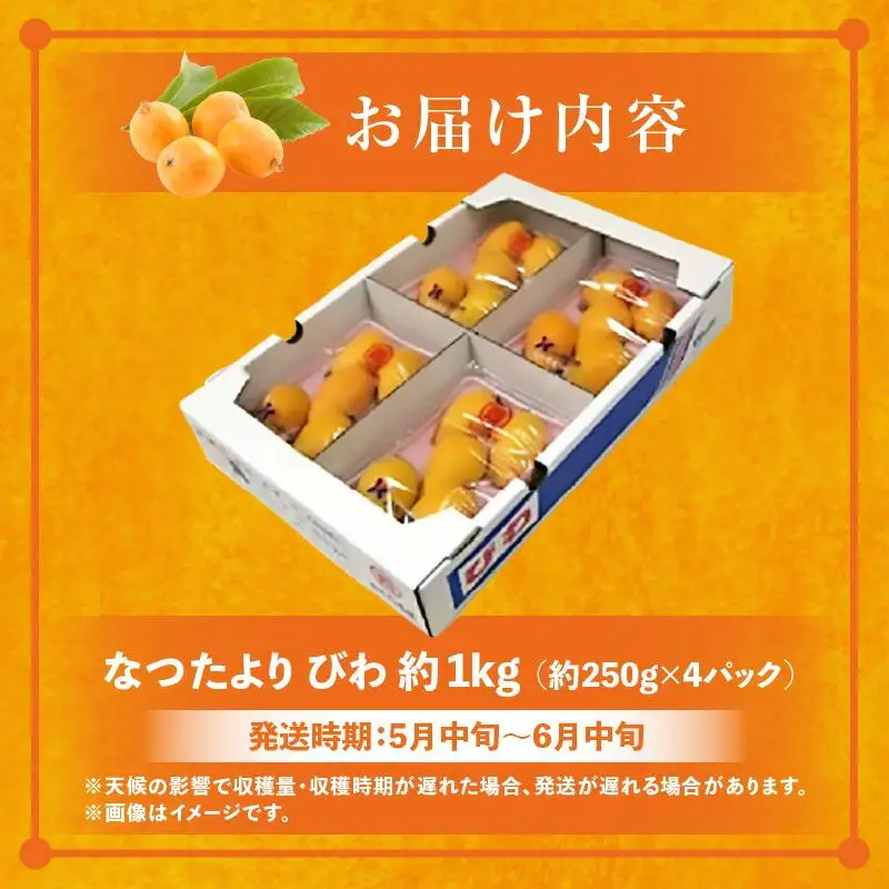 なつたよりびわ　約1kg (約250g×4パック)【2027-5月中旬～2027-6月中旬配送】