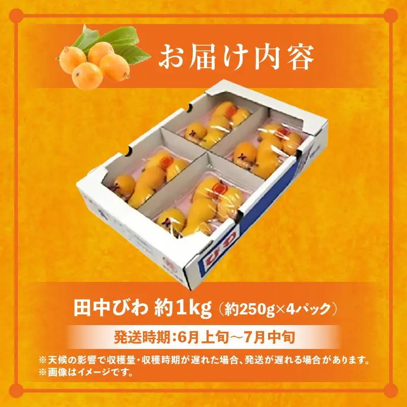 田中びわ 約1kg (約250g×4パック)【2027-6月上旬～2027-7月中旬配送】| びわ
