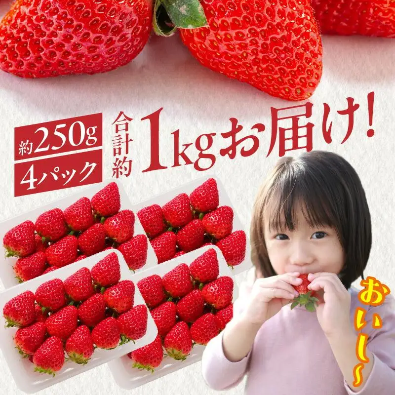 希少品種　女峰いちご4パック(各約250g)【2027年1月中旬～2027年6月下旬配送】