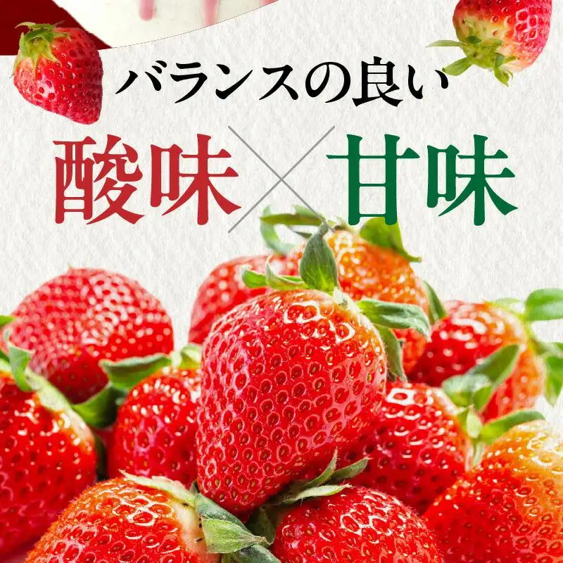希少ないちご ケーキ用 女峰いちご 約2.2kg【2027年1月上旬～2027年5月下旬配送】