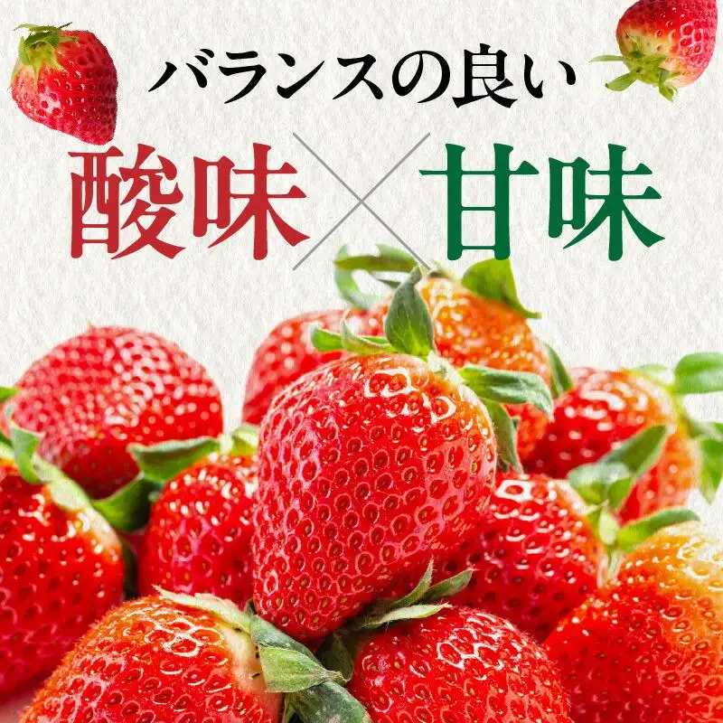 高松市産いちご食べ比べセット 約2kg【2027-1月上旬～2027-6月中旬配送】