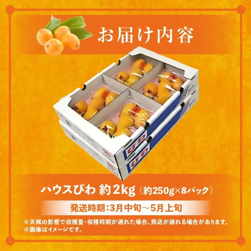 ハウスびわ 約2kg【2026年4月中旬～2026年5月上旬配送】| びわ