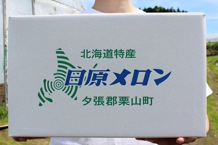 極上の一品「日原メロン（レッド種）」（1.7kg相当×2玉）