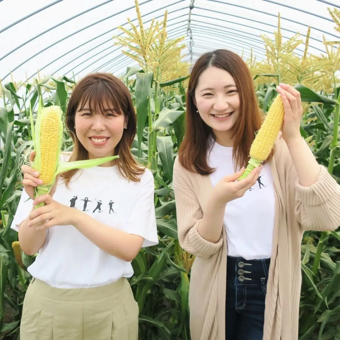 大地の恵み「とうもろこし2色セット」14本