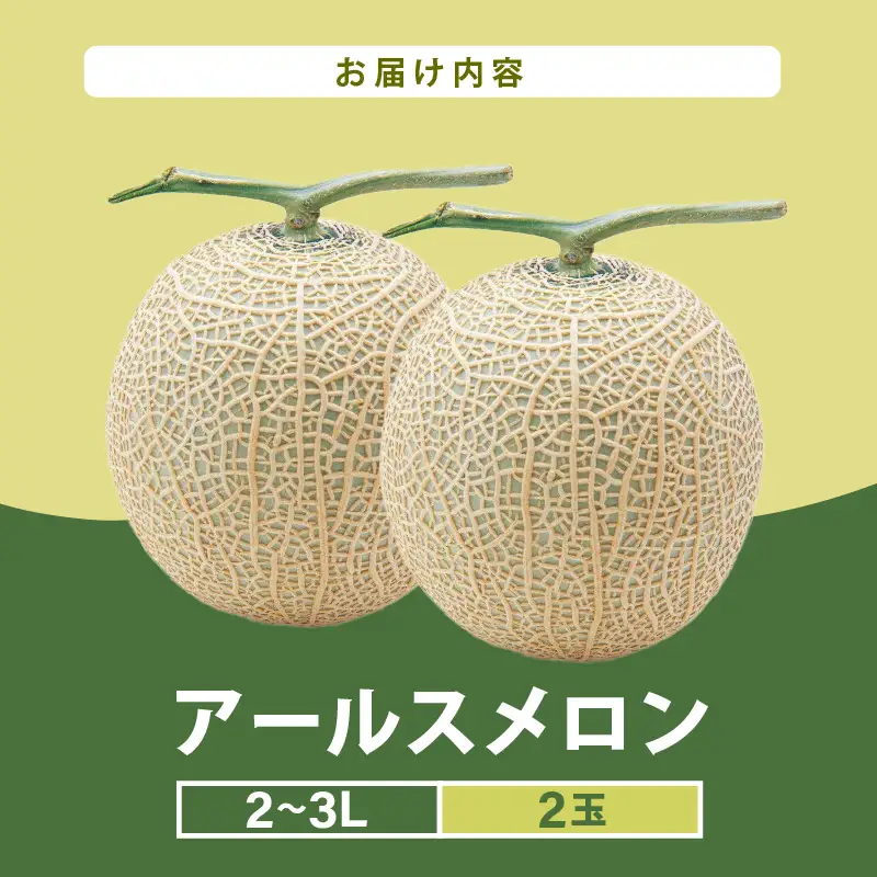 【先行予約】メロンの王様！アールスメロン 2玉入 2～3L 〈贈答用にも最適な最高級メロン〉／ 期間限定 果物 フルーツ 高級メロン マスクメロン 青肉 産地直送 ※2027年7月上旬より順次発送 [aw003-a011]
