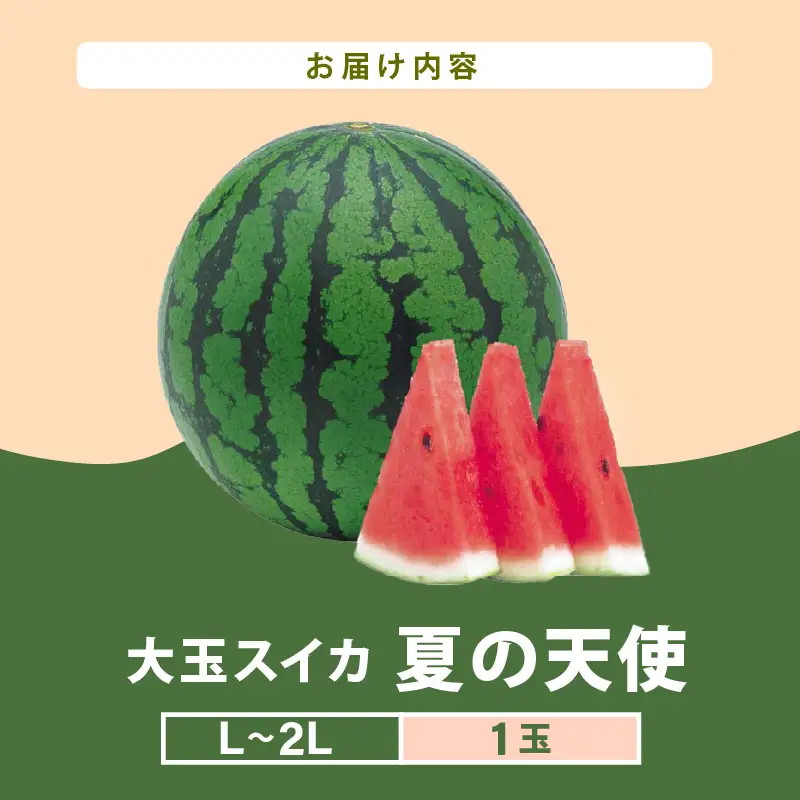 【先行予約】大玉スイカ「夏の天使」 1玉入 （L～2L）抜群の糖度で甘い！／ 期間限定 果物 フルーツ 西瓜 産地直送 ※2027年7月中旬より順次発送 [aw003-a002]