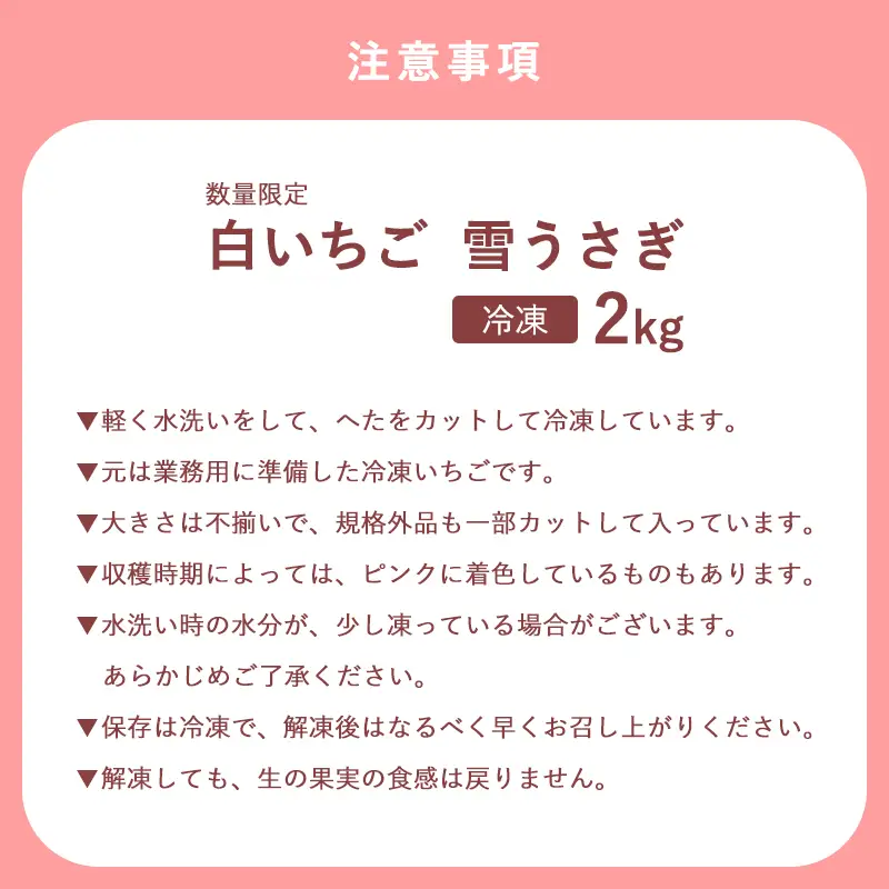  数量限定 白いちご 雪うさぎ 冷凍 2kg (佐賀県唐津市産)