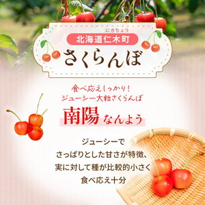 さくらんぼ 800g 南陽 L-LLサイズ混合 サクランボ