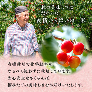 さくらんぼ 800g 南陽 L-LLサイズ混合 サクランボ