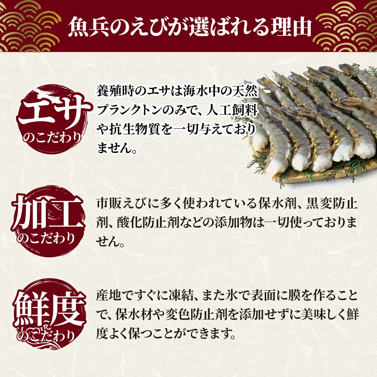 ブラックタイガー海老 魚兵水産こだわり 10尾10パック | エビ えび 茨城県ひたちなか市