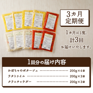 【3ヶ月定期便】 化学調味料無添加スープ10食セット〈レトルト〉