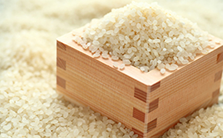 【令和6年産新米】伊吹の食卓米 10kg お米 コシヒカリ 