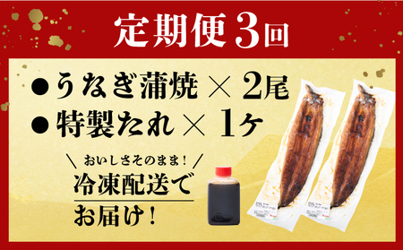 うなぎ蒲焼き 2尾 定期便 3回 うなぎ yj046