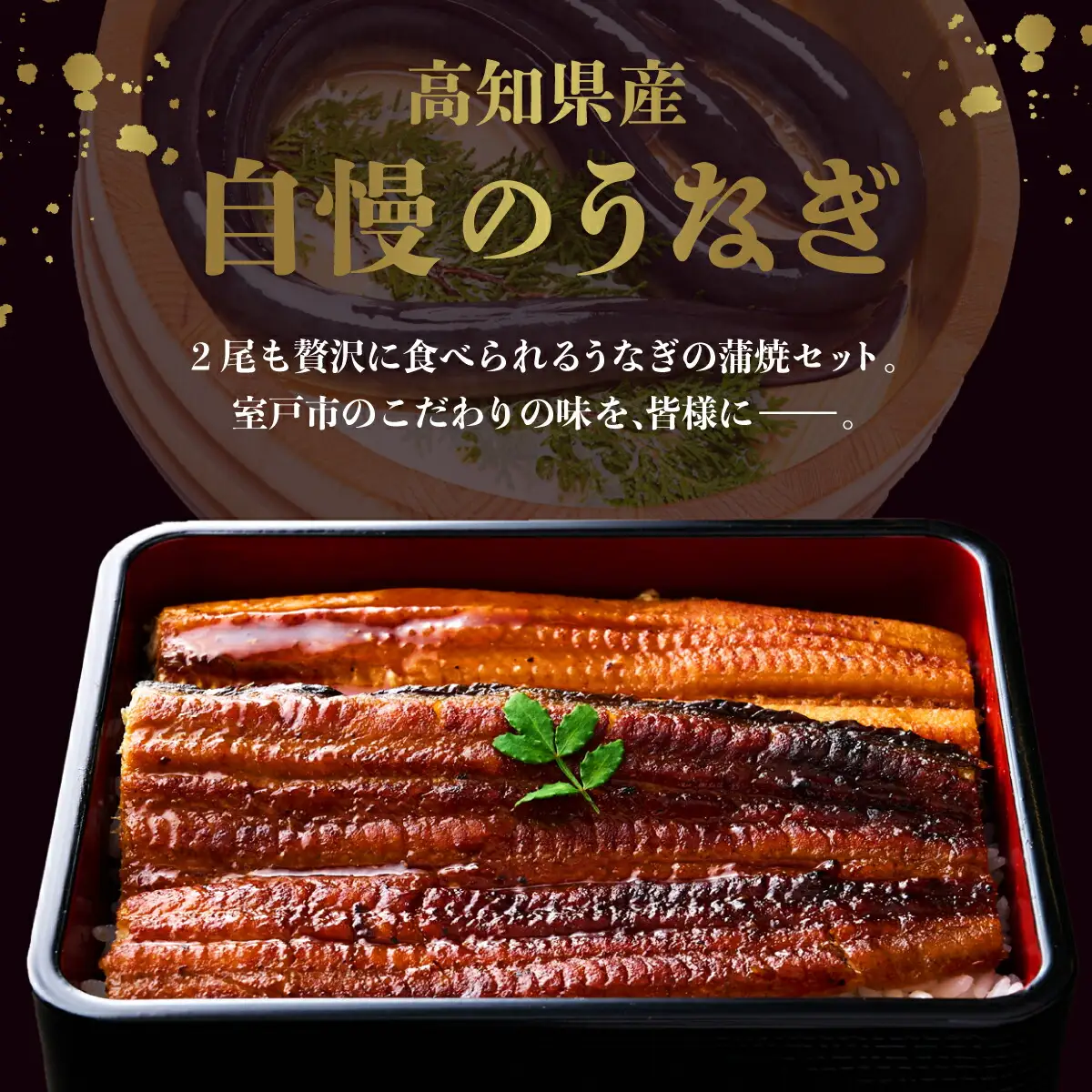 うなぎ蒲焼き 2尾 定期便 6回 うなぎ yj047