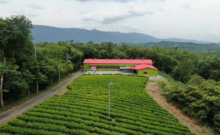 茶娘衣装撮影プラン 体験チケット 茶畑 小学生以下 茶娘衣装撮影プラン【小人1名】