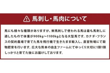 筋肉セット 鮮馬刺し ロース ブロック 500g（約100g×5）タレ付き